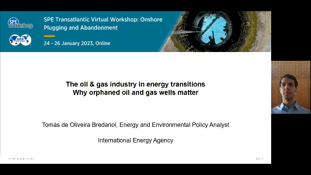 The Oil and Gas Industry in Energy Transitions. Why Orphaned Oil and ...